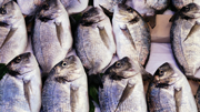 Marine_refrigeration_180x101.png