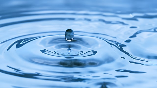 process water grow