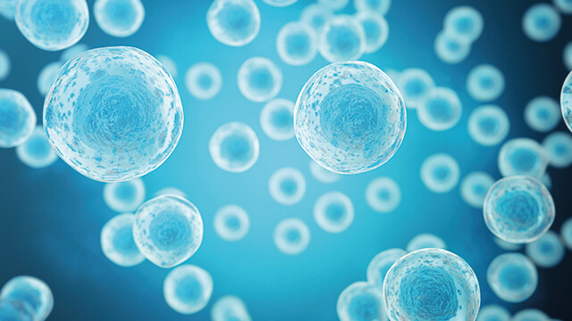 explore cells biotech home mobile