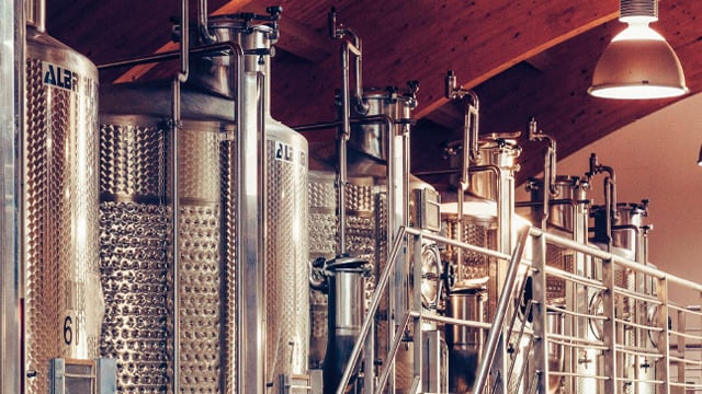 wine production story 640x360