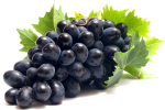 wine grapes